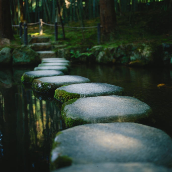 stone on water