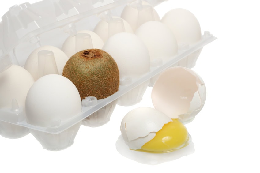 Broken eggs with one yolk spilling out, symbolizing diverse skills and adaptability in the mind.