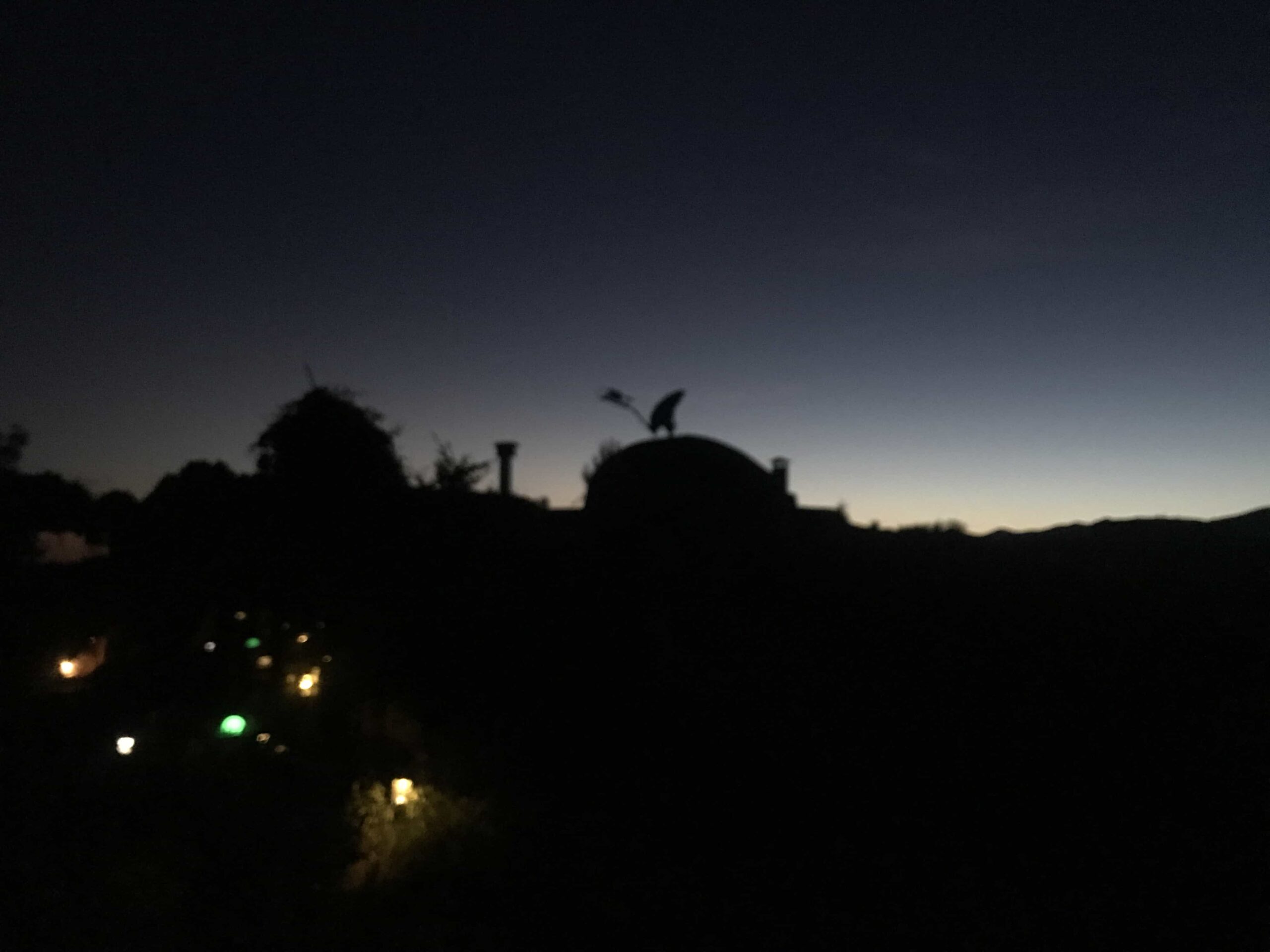 Silhouette of a person with a bird on their arm against a twilight sky, symbolizing adaptability and diverse skills during changing times.