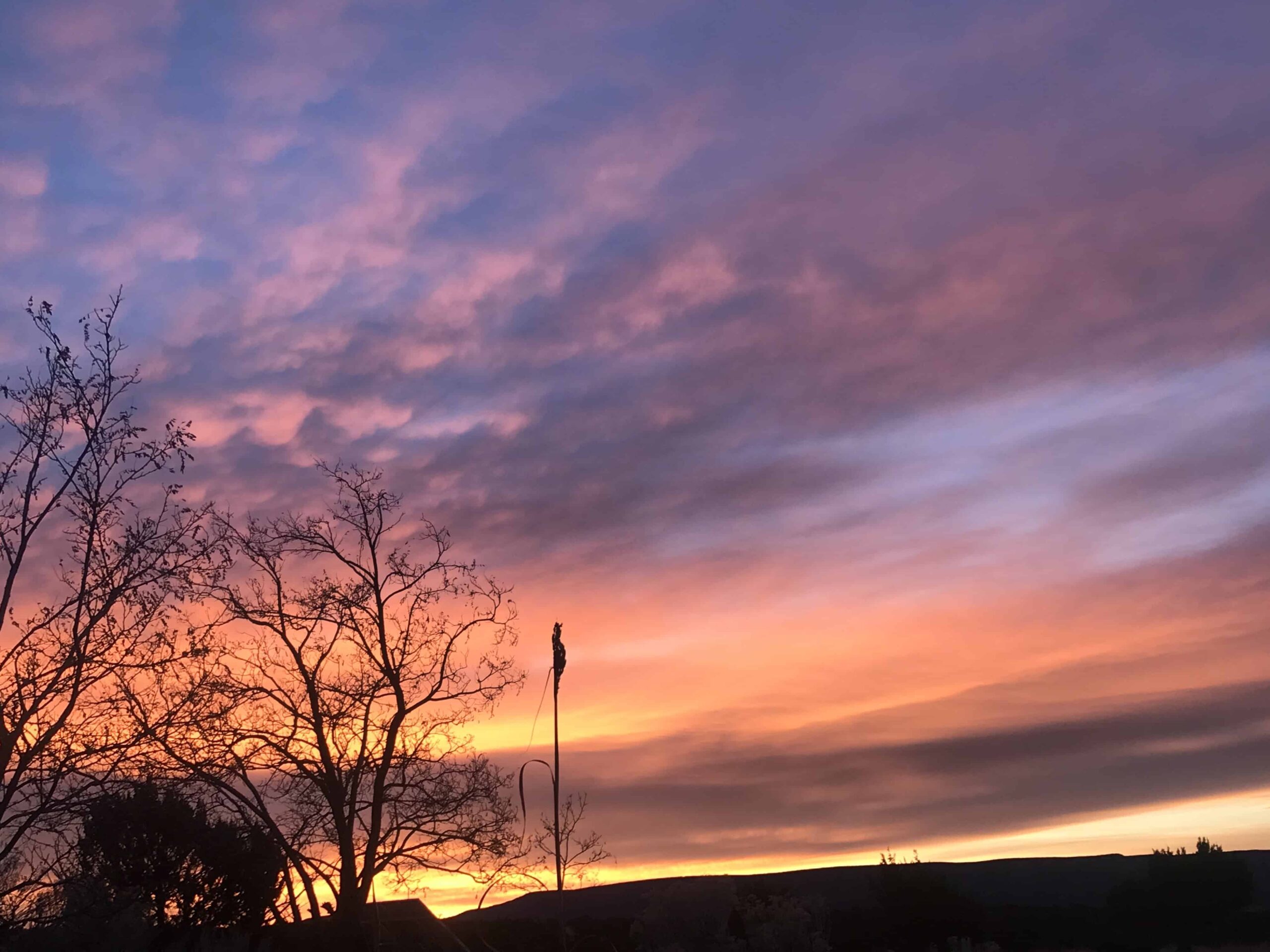 An image of a beautiful pink sunrise