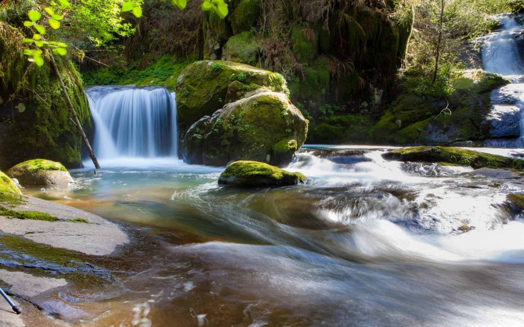 Navigating the Rapids of Life
